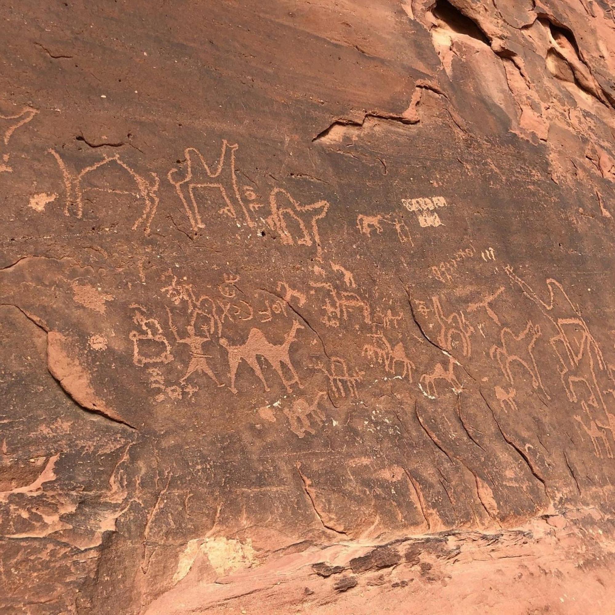 Calm Camp Bed & Breakfast Wadi Rum Exterior photo